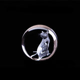 3D Laser Zodiac Rat Crystal Ball