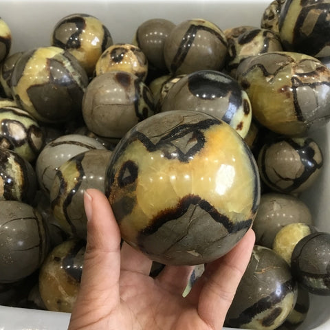 Natural Septarium Crystal Stone